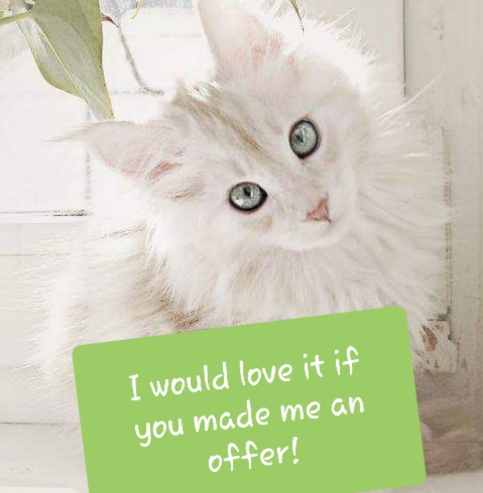 No reasonable offers refused